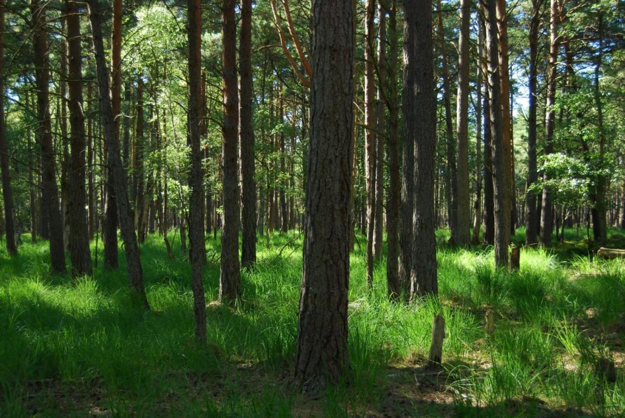 Z Widokiem Na Wydme Villa Lokciowe Kültér fotó